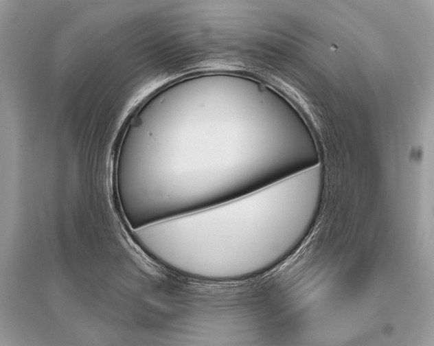X0000096491179200801241203