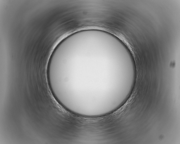 X0000096491181200801241203