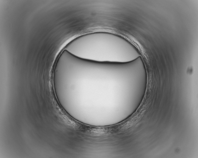 X0000096491182200801241203