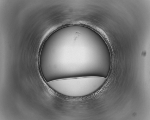 X0000096491183200801241203