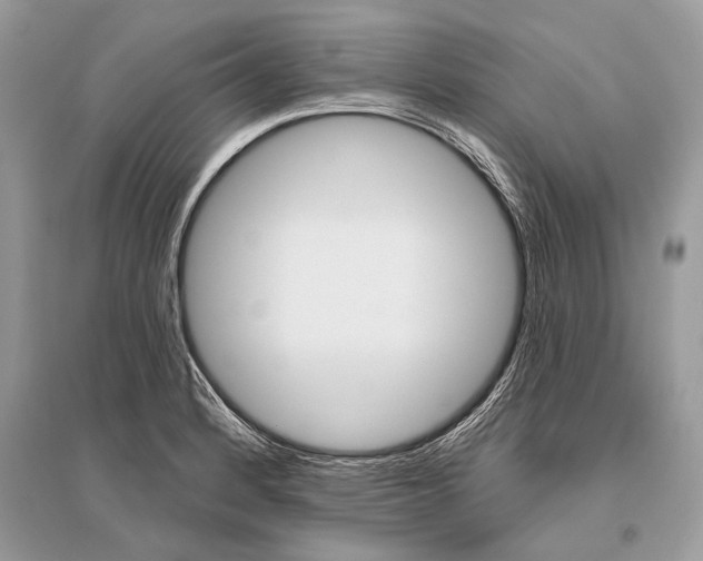 X0000096491184200801241203
