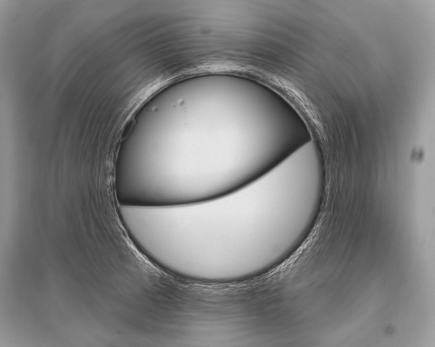 X0000096491185200801241203