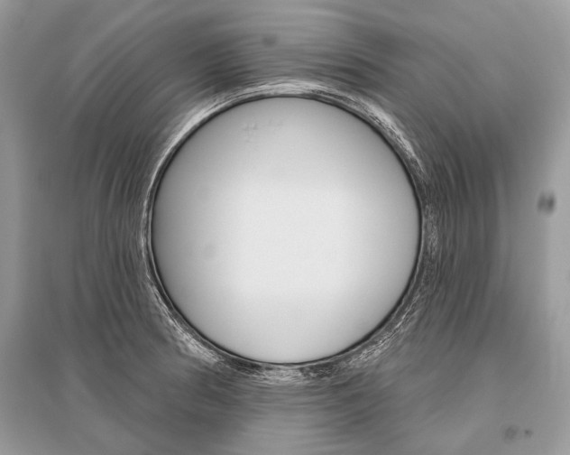 X0000096491186200801241203