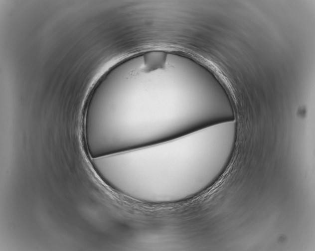 X0000096491187200801241203