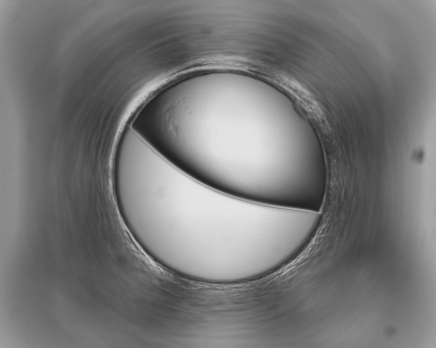 X0000096491188200801241203