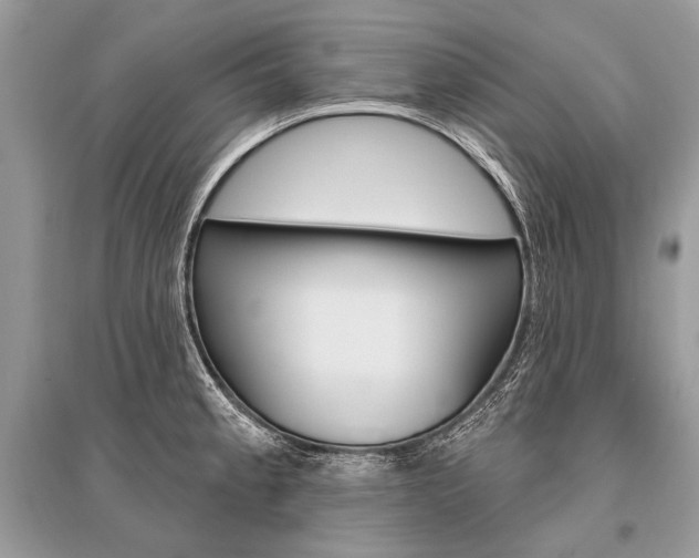 X0000096491189200801241203