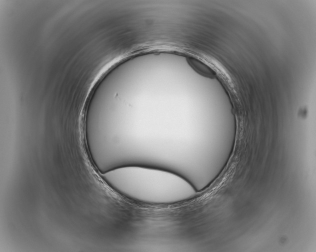 X0000096491190200801241203