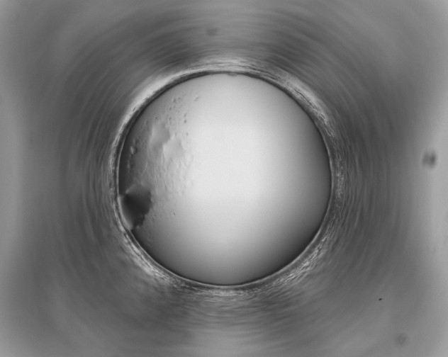 X0000096491192200801241203