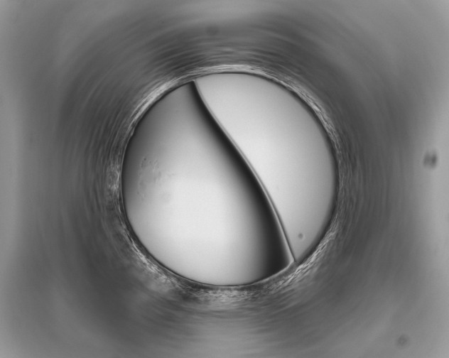 X0000096491193200801241203