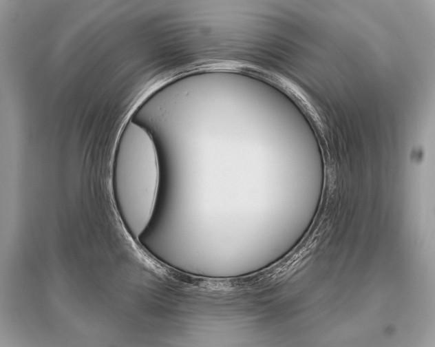 X0000096491194200801241203