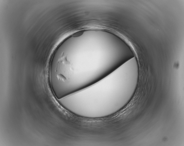 X0000096491195200801241203
