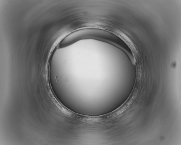 X0000096491196200801241203