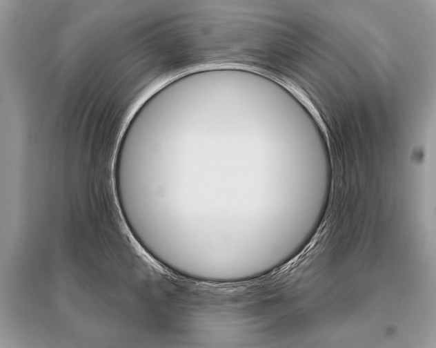 X0000096491197200801241203
