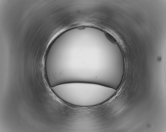 X0000096491198200801241203