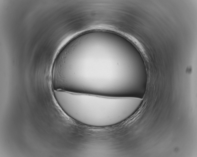 X0000096491199200801241203