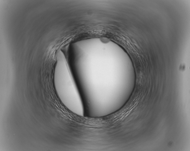 X0000096491201200801241202