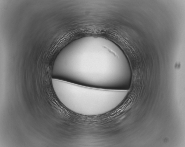 X0000096491202200801241202