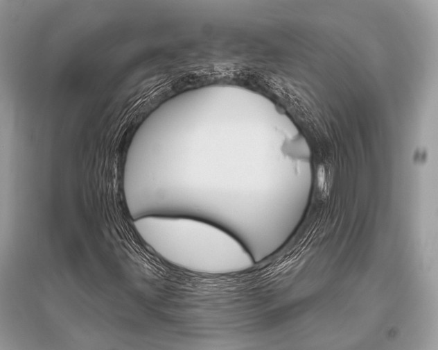 X0000096491203200801241202