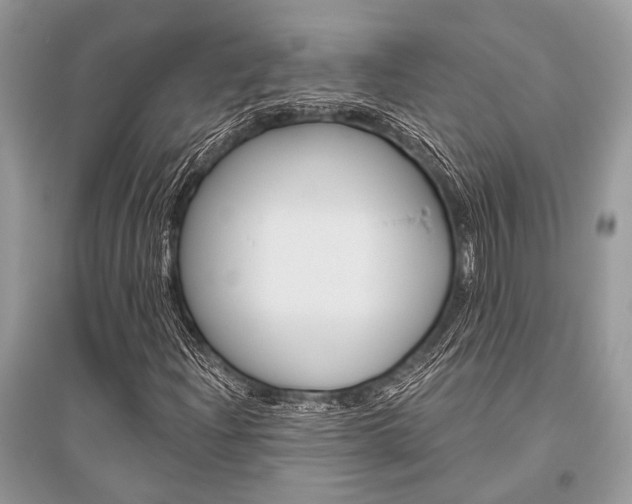 X0000096491204200801241202