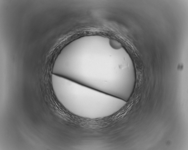 X0000096491207200801241202