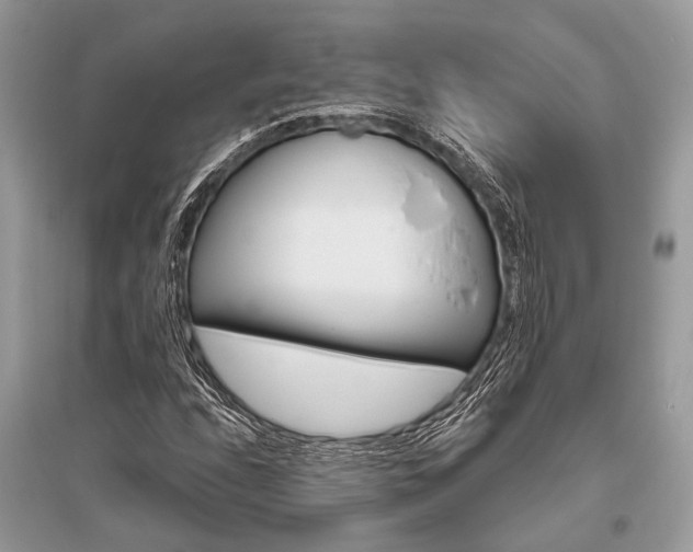 X0000096491208200801241202