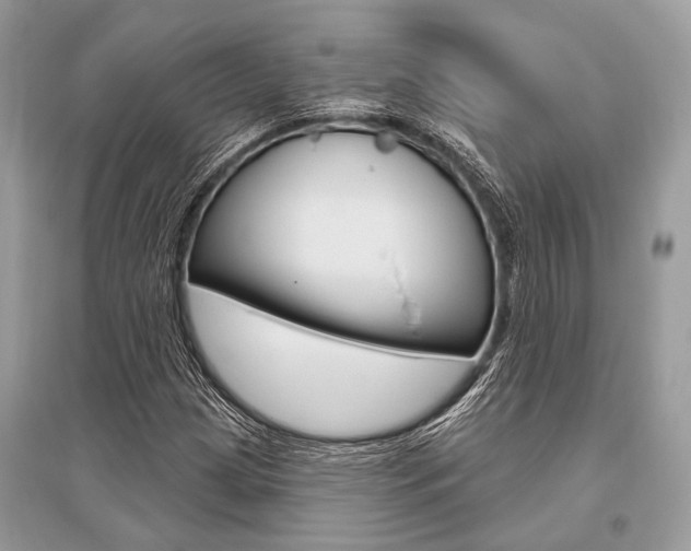 X0000096491209200801241202