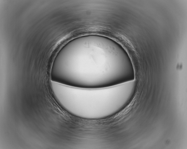 X0000096491210200801241202