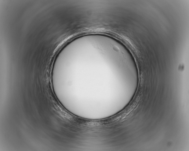 X0000096491212200801241202