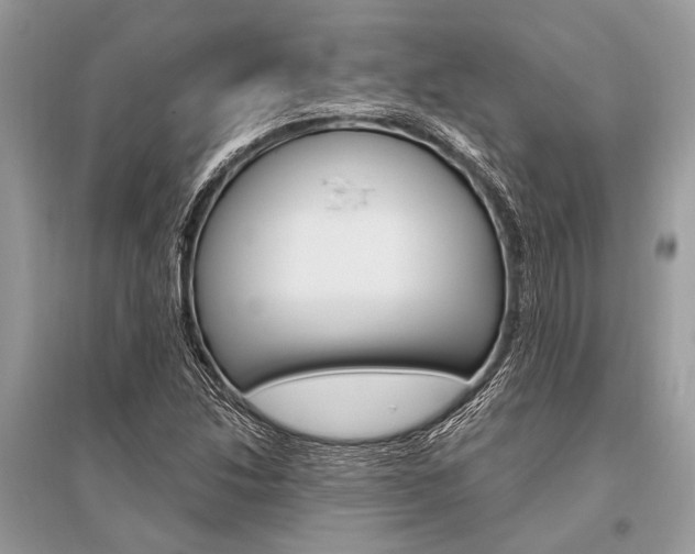 X0000096491214200801241202
