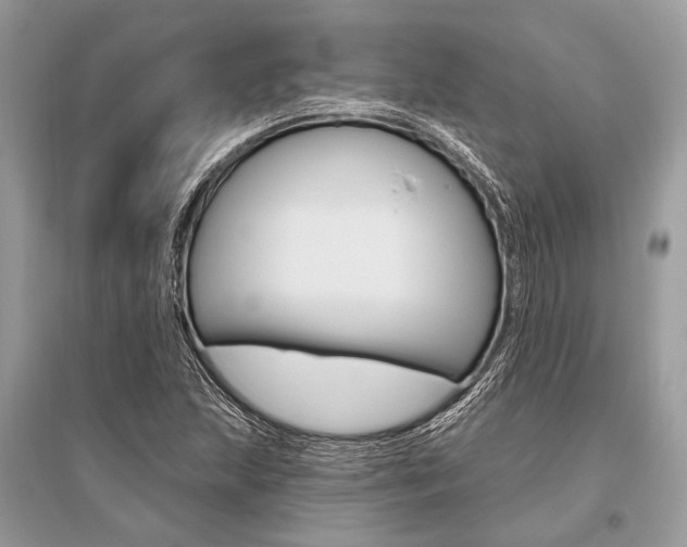 X0000096491215200801241202