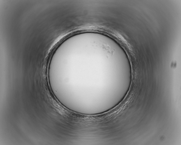 X0000096491216200801241202