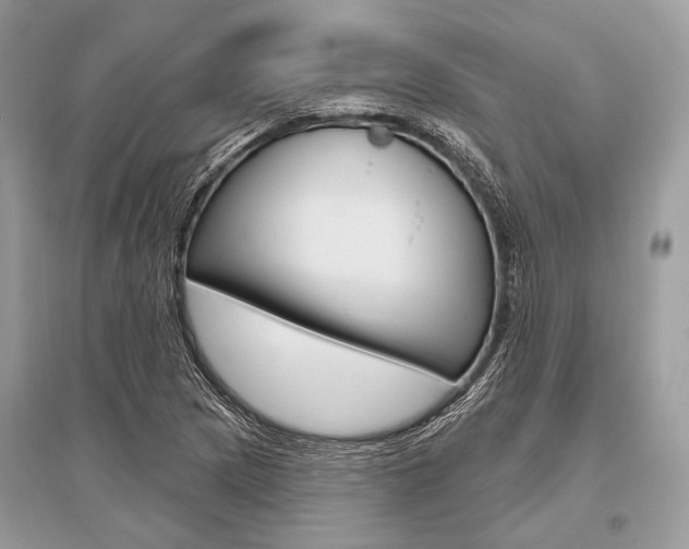 X0000096491217200801241202
