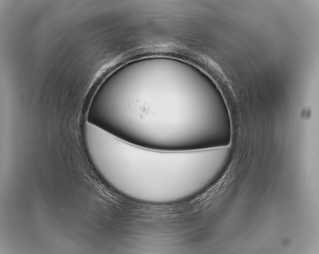 X0000096491218200801241202