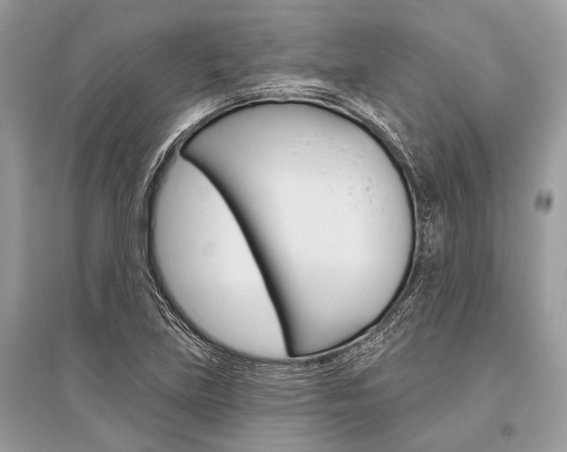 X0000096491219200801241202