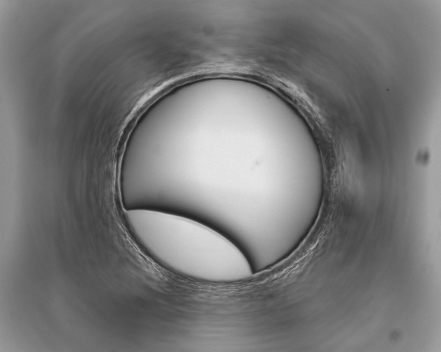 X0000096491220200801241202