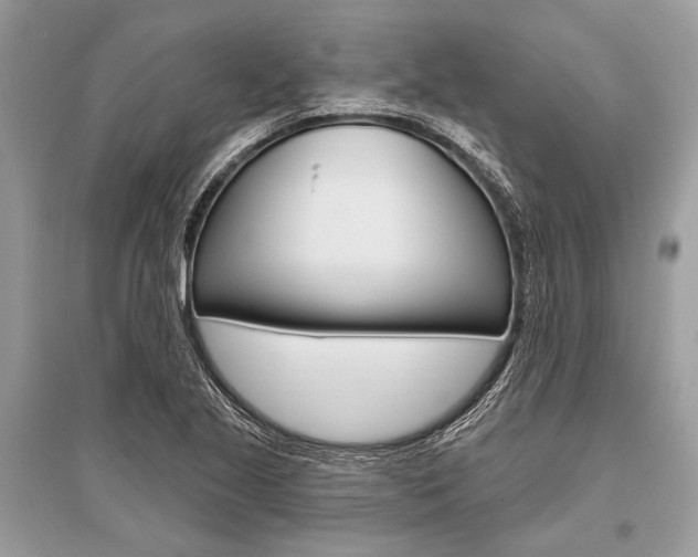 X0000096491221200801241202