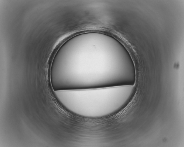X0000096491222200801241202