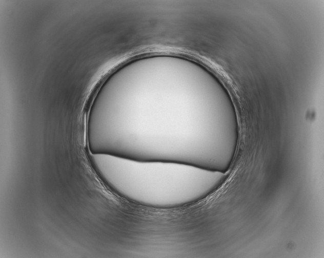 X0000096491223200801241202