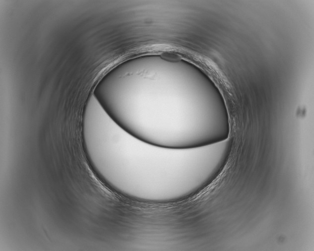 X0000096491225200801241202