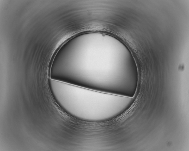 X0000096491226200801241202
