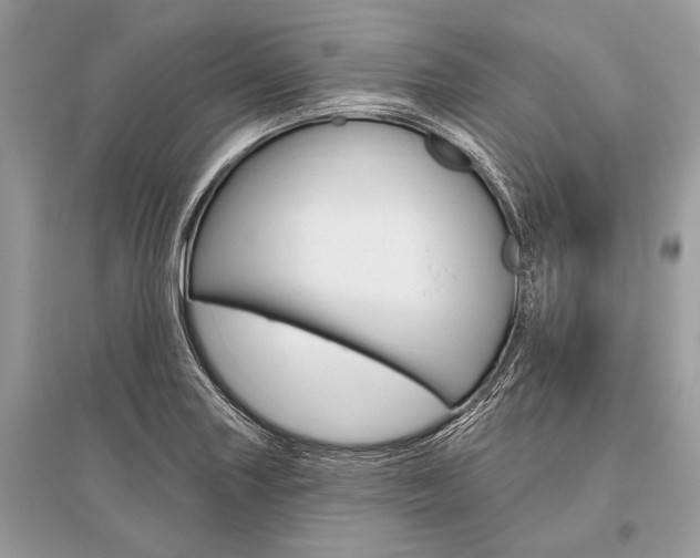 X0000096491227200801241202