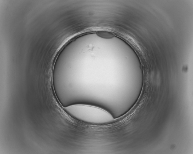 X0000096491228200801241202