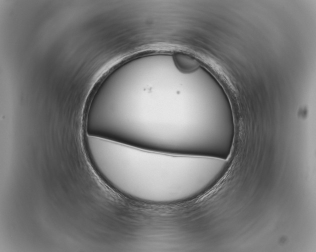 X0000096491229200801241202