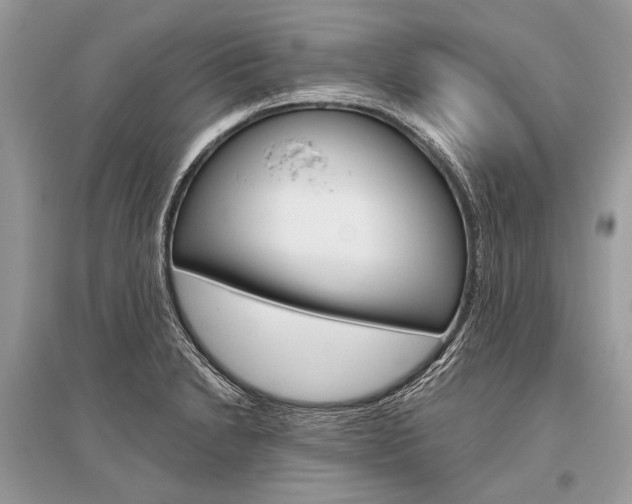 X0000096491230200801241202