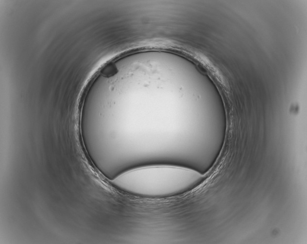 X0000096491232200801241202