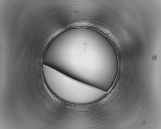 X0000096491233200801241202