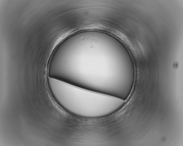 X0000096491234200801241202