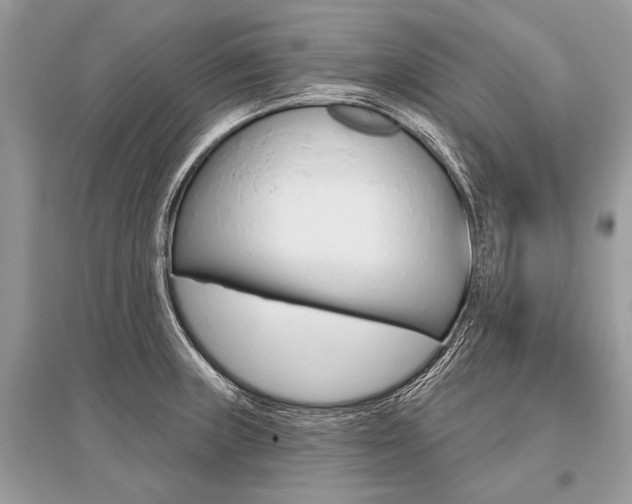 X0000096491235200801241203