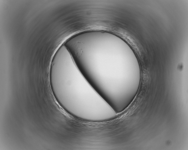 X0000096491236200801241203