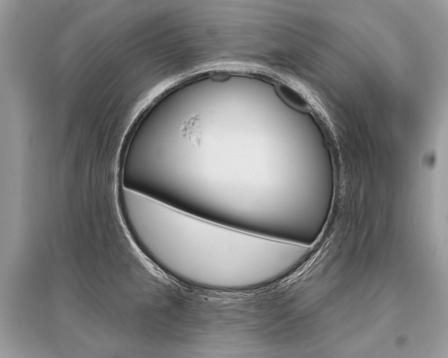 X0000096491237200801241203